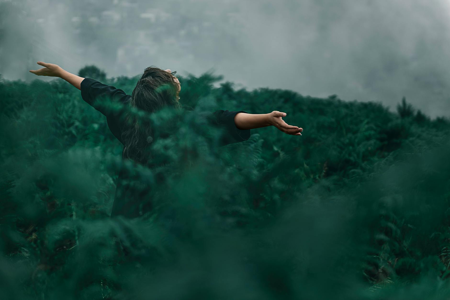 Free Meditation Apps: Discover the Ultimate Relaxation Tools